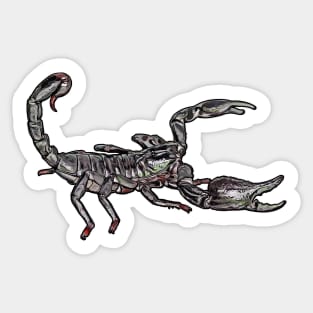 Heterometrus silenus Sticker